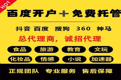 案例解读：SEM托管助力电商销售增长
